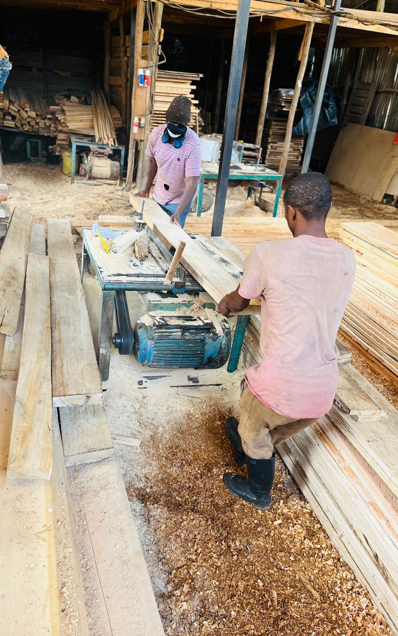Wood-Mizer LT40 sawmill cutting hardwood timber at Nepro yard