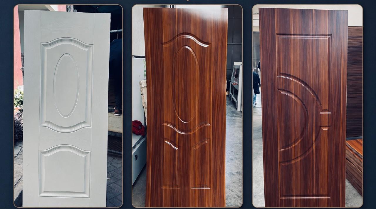 Skin Doors