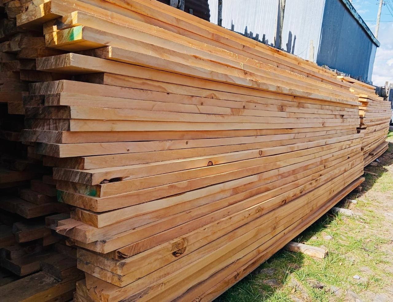 Stacked cypress and hardwood timber stock ready for sale at Nepro Ruiru yard