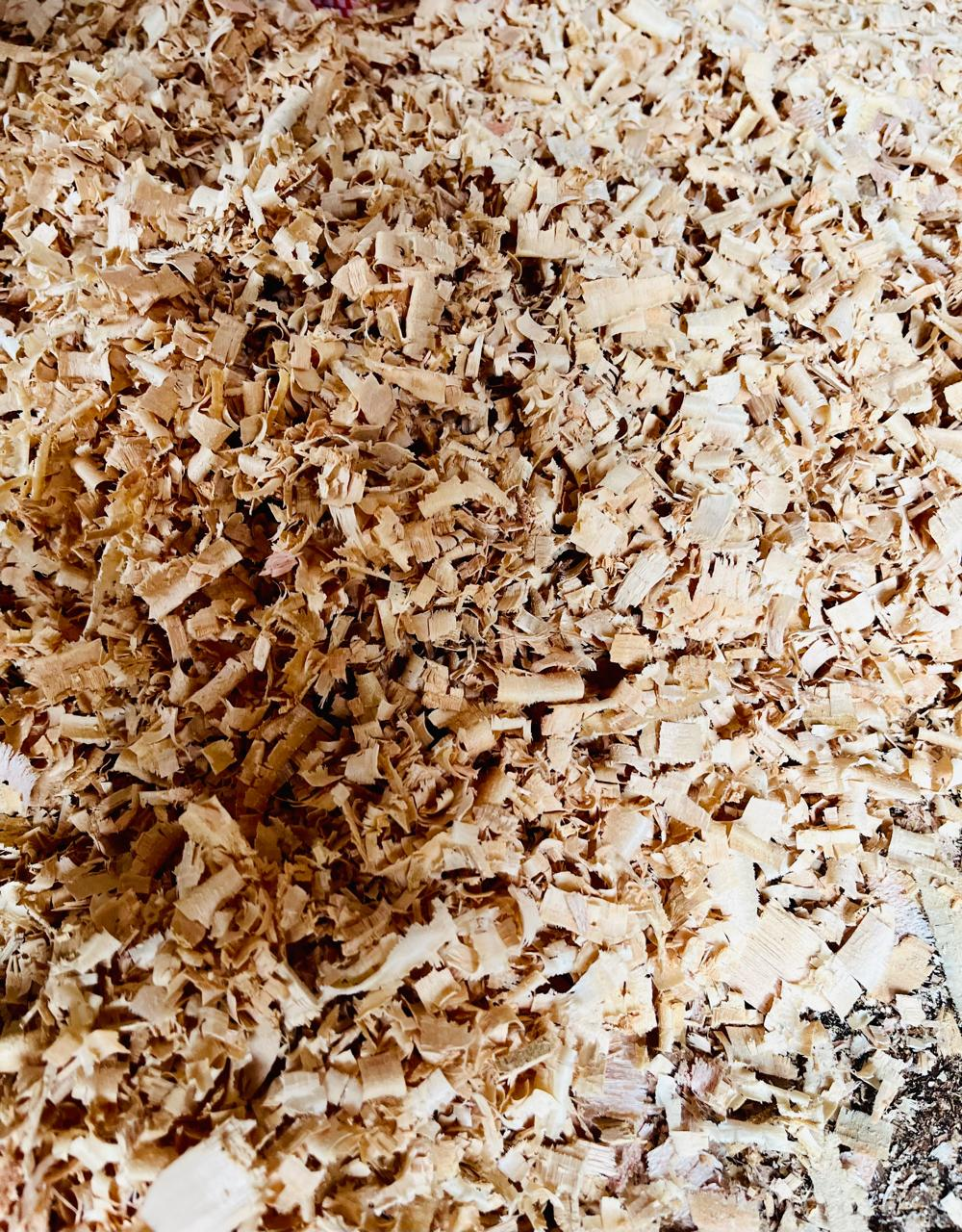 Wood Shavings